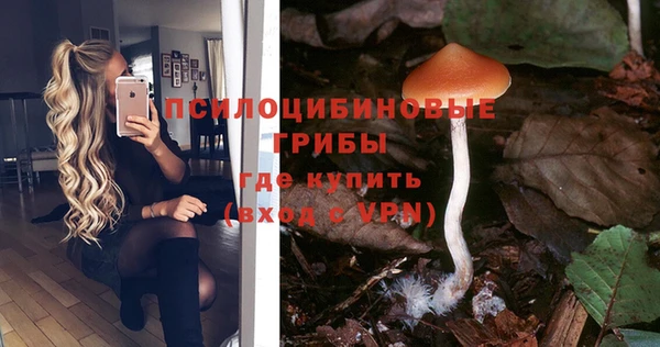 твердый Наволоки