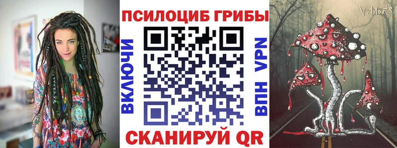 Галлюциногенные грибы Magic Shrooms  kraken зеркало  Константиновск  сколько стоит 