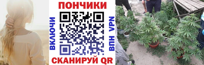закладки  Константиновск  даркнет наркотические препараты  Бошки марихуана сатива 